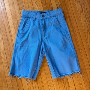 Dickies Light Blue Flat Front Shorts